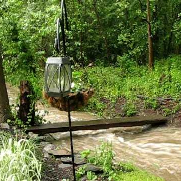 Cathy Edwards Photo 45