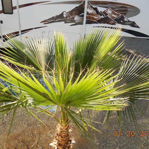 Barbara Farley Photo 20