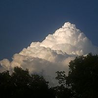 Judy Mccrary Photo 11