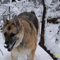 Pat Houser Photo 13