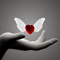 Ellen Atkins Photo 18