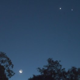 Gail Quinn Photo 28 Gail Quinn Photo 28