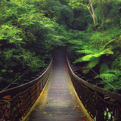 Rafael Velasco Photo 17