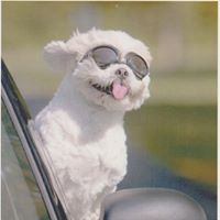 Sharon Grady Photo 18