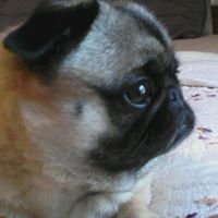 Jean Torres Photo 43