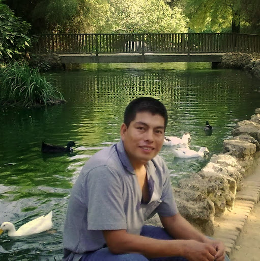 Elio Flores Photo 20