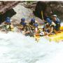 Kathy Kuhn Photo 28