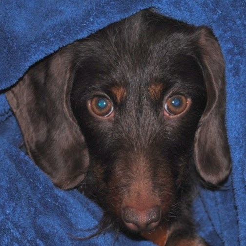 Jane Lawson Photo 15