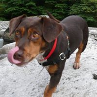 Susan Schlosstein Photo 4