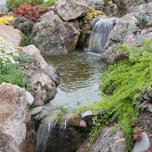 Diane Carpenter Photo 28