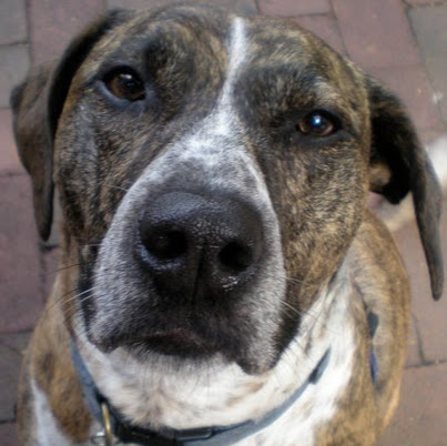 Jill Kauffman Photo 6