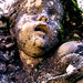 Jane Stone Photo 16