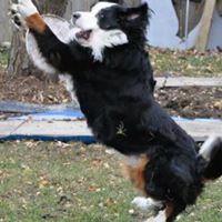 Lorraine Combs Photo 11