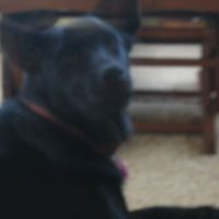 Debbie Earnest Photo 2