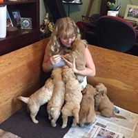 Crystal Mcgrath Photo 13