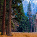 Marcus Meadows Photo 33