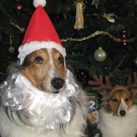 Annette Schmidt Photo 20