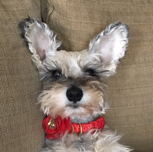 Tracy Woodcock Photo 5