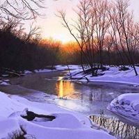 Elizabeth Dowd Photo 14