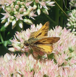 Blake Brandon Photo 28