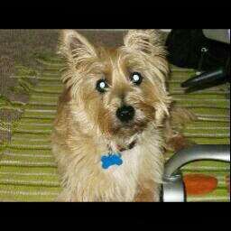 Christine Heaver Photo 1