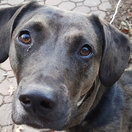 Anthony Draper Photo 9