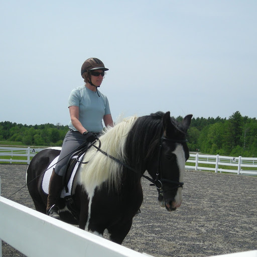 Lisa Fink Photo 23