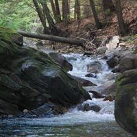 Patrick Reimer Photo 17