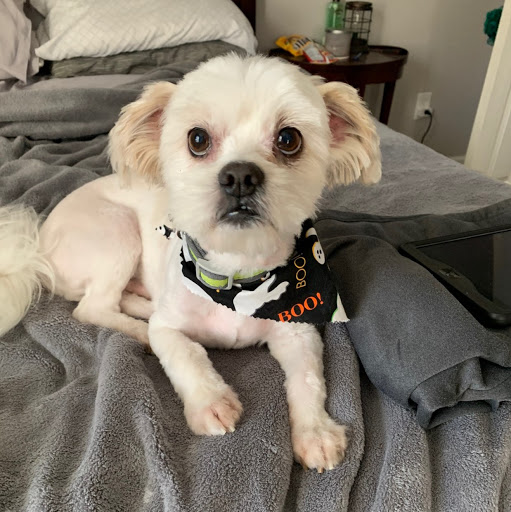 Craig Browning Photo 24