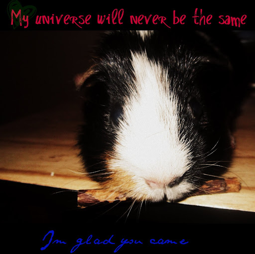 Stephanie Sinclair Photo 36