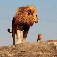 Mohamed Rasheed Photo 29