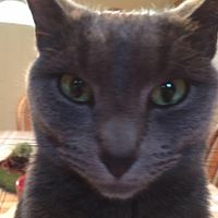 Annette Cannon Photo 16