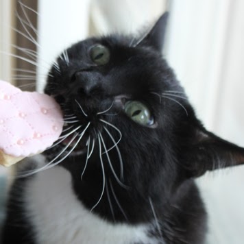 Christine Wu Photo 35