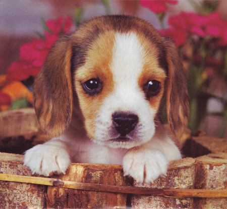 Carla Coates Photo 14