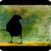 Jenny Crow Photo 19