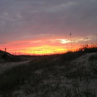 Mike Burroughs Photo 13