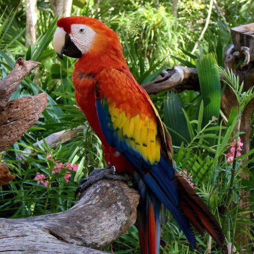 Yaneth Rodriguez Photo 21