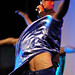 Steve Armstrong Photo 10
