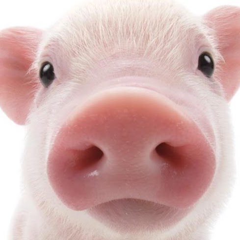 Sarah Smart Photo 23