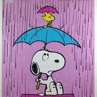 Sherri Lawrence Photo 15