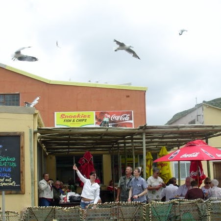 Dennis Craig Photo 30