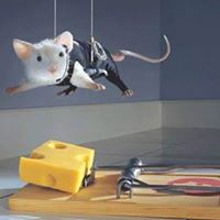 Nancy Breen Photo 29