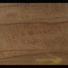 Walter Winn Photo 11