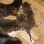 Sally Schaefer Photo 8