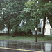 Kathleen Minor Photo 22