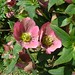 Barry Glick Photo 21