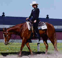 Debbie Fisher Photo 30