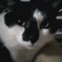 Terry Atkinson Photo 6