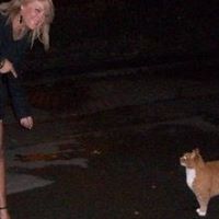 Paula Reilly Photo 20