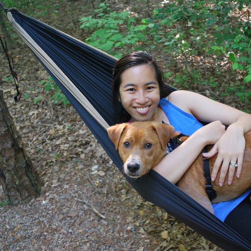 Robin Shepherd Photo 34